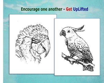 Parrot coloring page and Cockatoo Coloring Page Birds coloring pages with detailed designs for family enjoyment and stress relief Printable