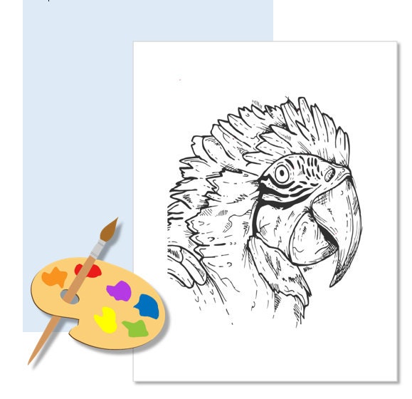Parrot Coloring Page and Cockatoo Coloring Page Birds Coloring Pages ...