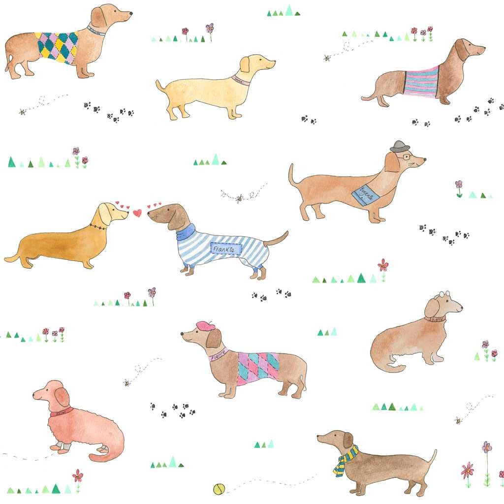 Sausage Dog Wallpaper A4 Sample Daschund Wallpaper Dog Print Etsy UK