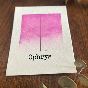Ophrys. Handmade, ecological and non-toxic handmade watercolors.