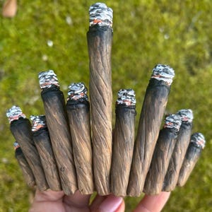 Op de afbeelding: Een verzameling bruine, handgerolde sigaretten met witte en grijze as aan de uiteinden. De sigaretten zijn in een waaier vorm gerangschikt tegen een groene achtergrond. De uiteinden van de sigaretten zijn zwart.
