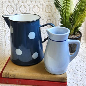 May include: Two pitchers on books. A navy blue enamel pitcher with white polka dots and a light blue ceramic pitcher with a blue rim. A green plant is in the background.