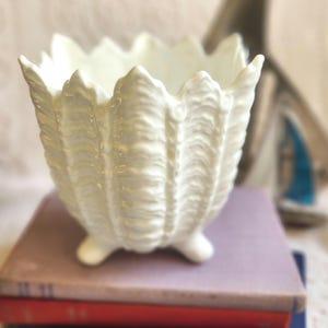 May include: A white ceramic bowl shaped like a seashell, featuring a scalloped edge and three small feet. The bowl has a textured surface and is placed on a stack of books. A decorative item.