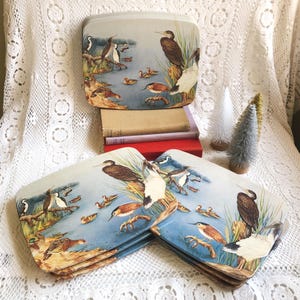 May include: A set of vintage placemats and a matching serving tray. The placemats and tray feature a detailed illustration of various birds near a body of water. The color palette includes shades of blue, brown, green, and white.