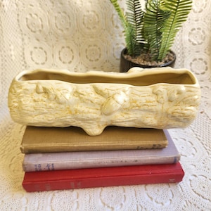 以下が含まれることがあります： ベージュ色の丸太型セラミックプランター。樹皮の質感とドングリの装飾が施されています。さまざまな色の3冊のヴィンテージ本の山の上に置かれています。背景には鉢植えのシダがあります。