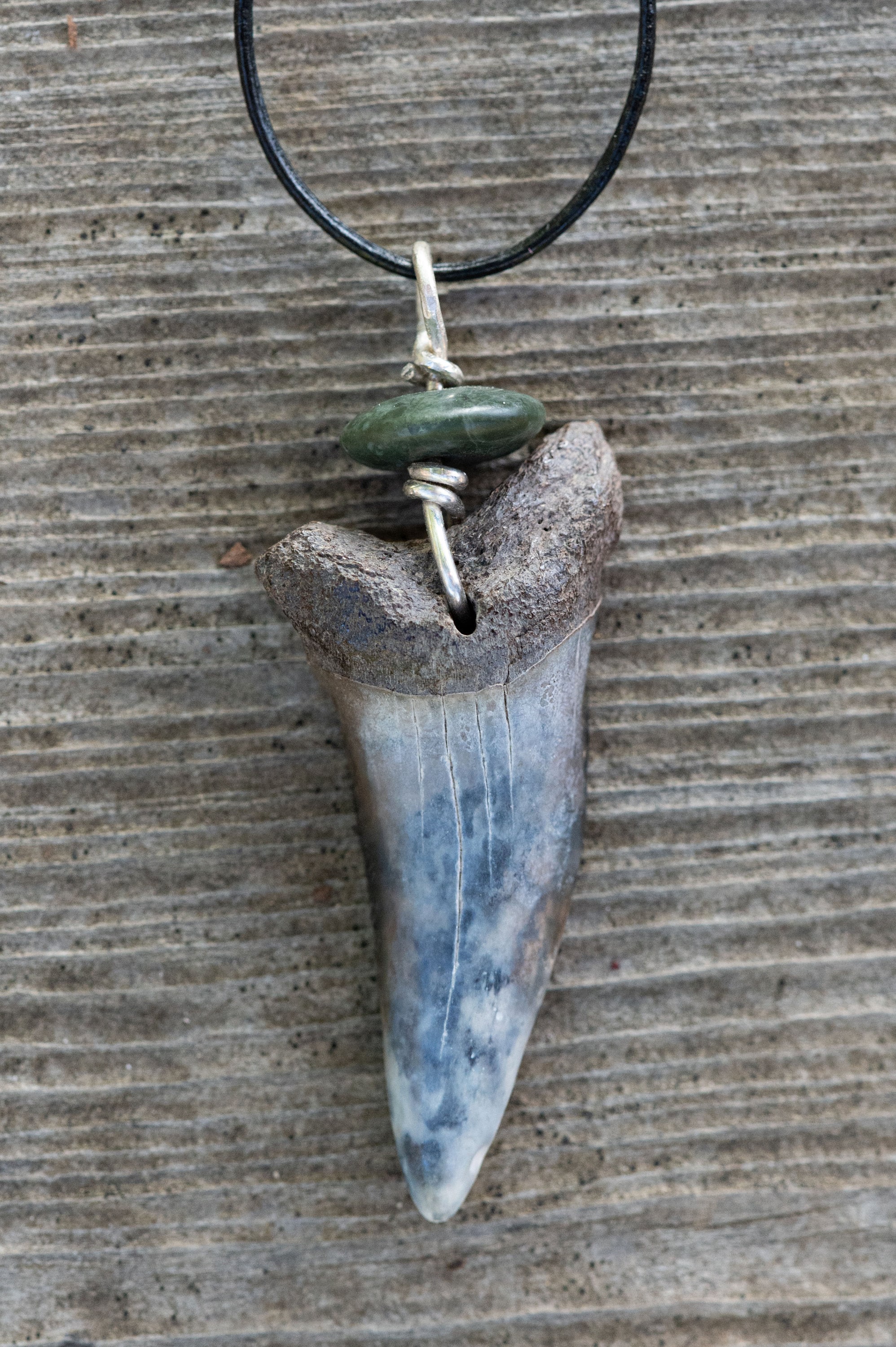 Collar de dientes de tiburón Fósil Mako Etsy