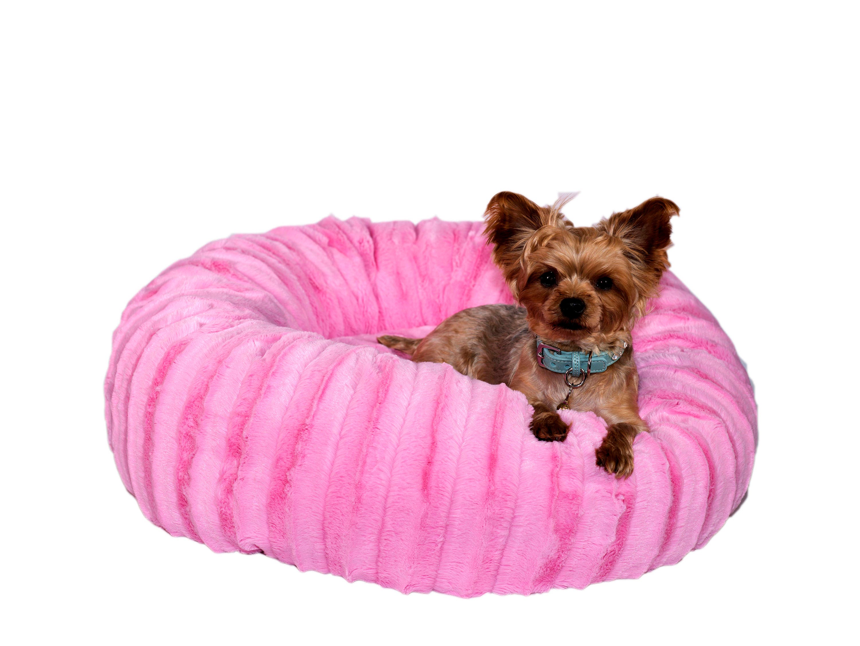 glamorous dog beds