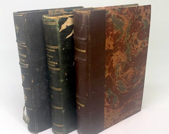 Lot de livres de décoration marron rouge, années 1800, années 1900, langue étrangère, français, victorien