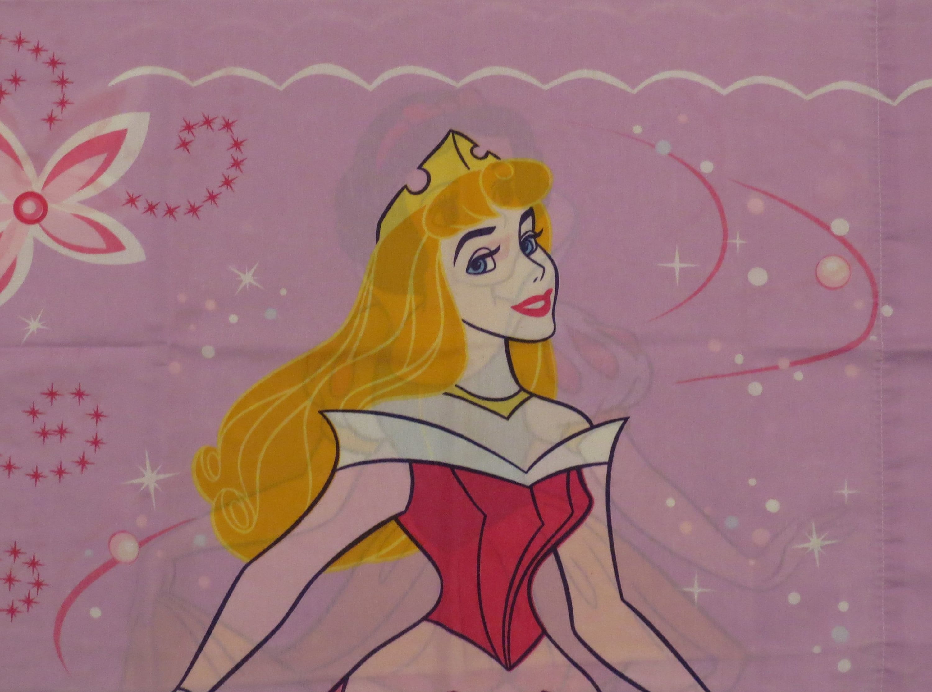 Disney 2025 princess pillowcase