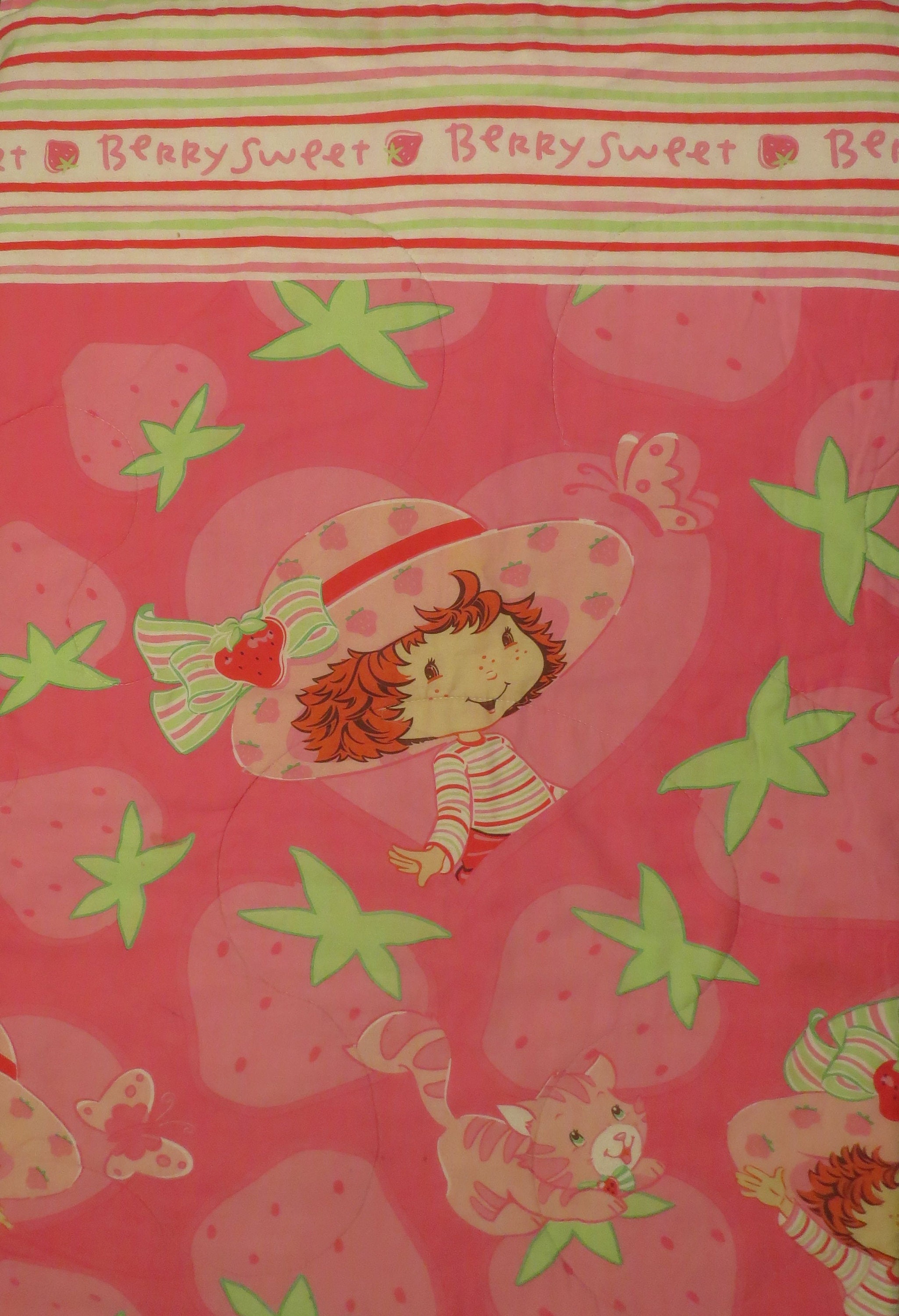 Strawberry Shortcake Twin Comforter