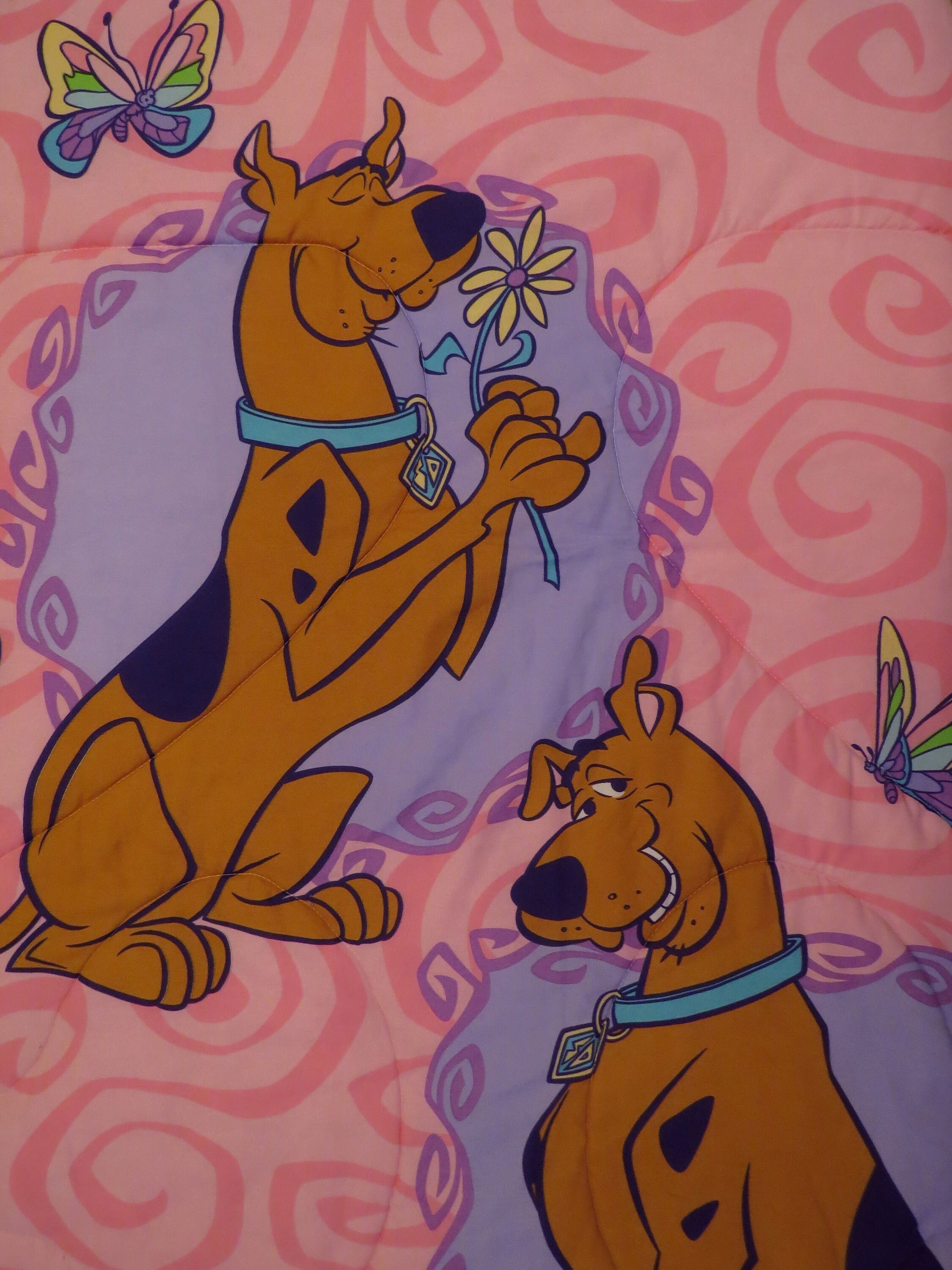Scooby Doo Twin Comforter