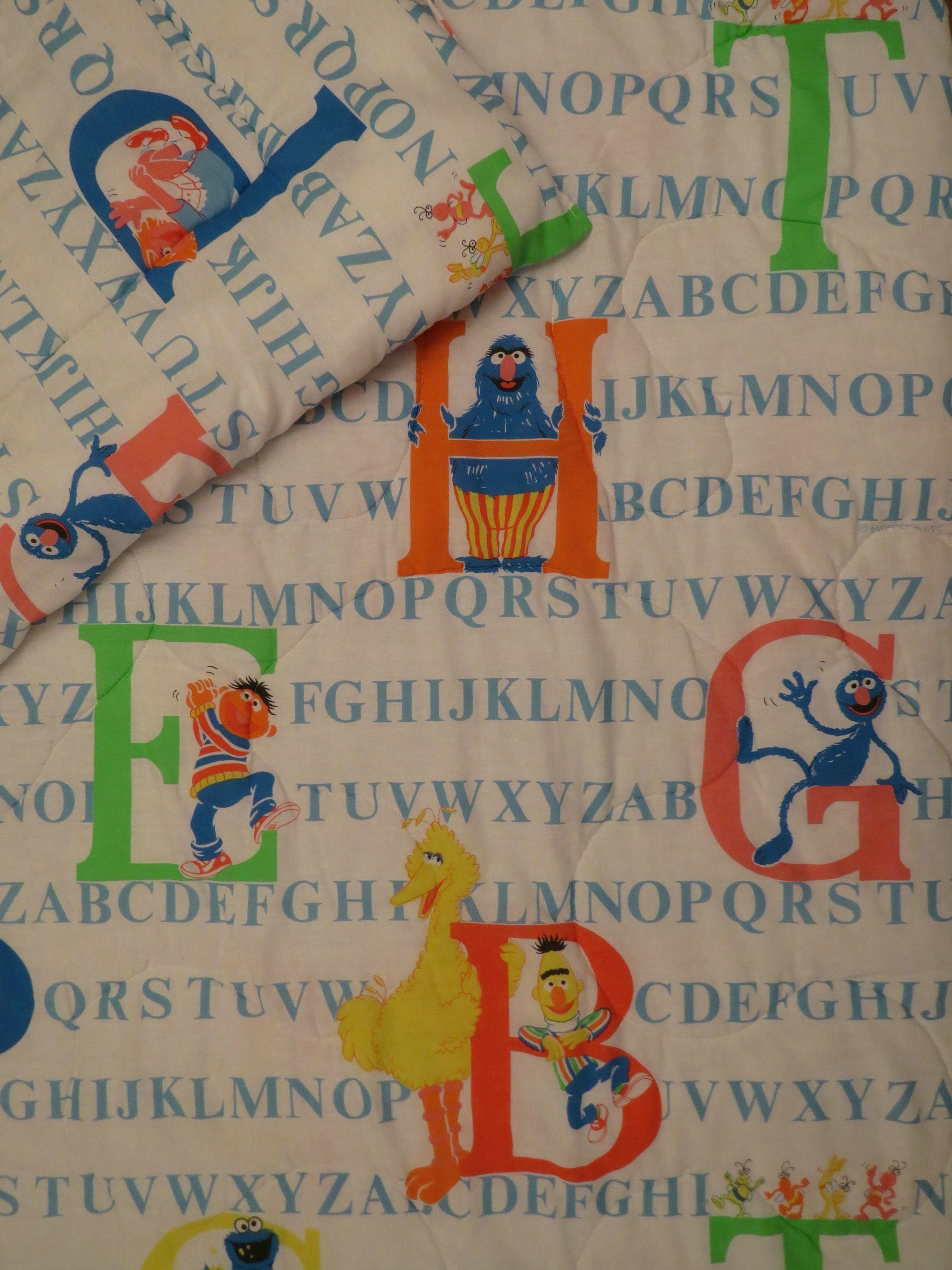 Vintage Sesame Street Twin Comforter