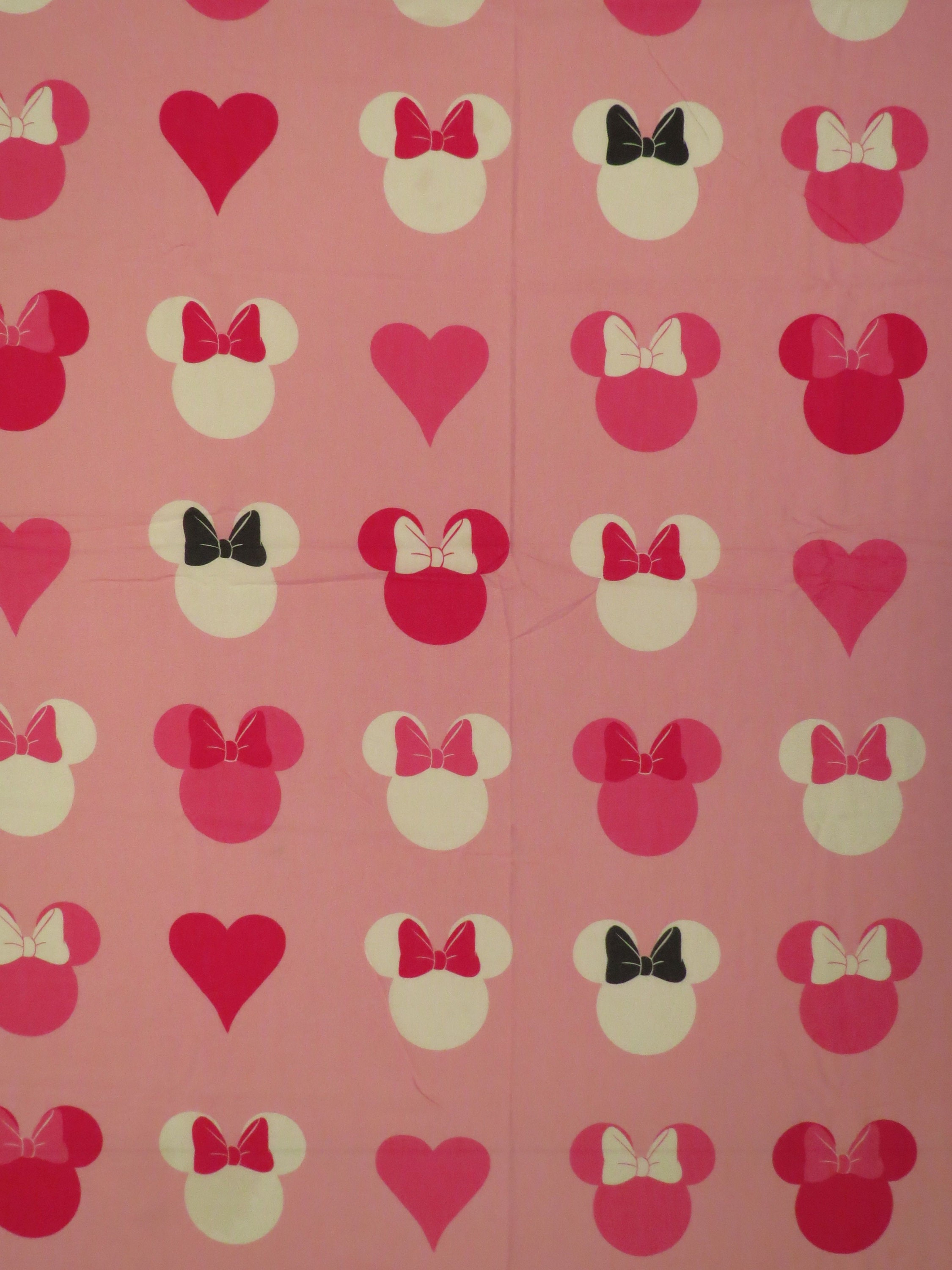 Minnie Mouse Model Sheet