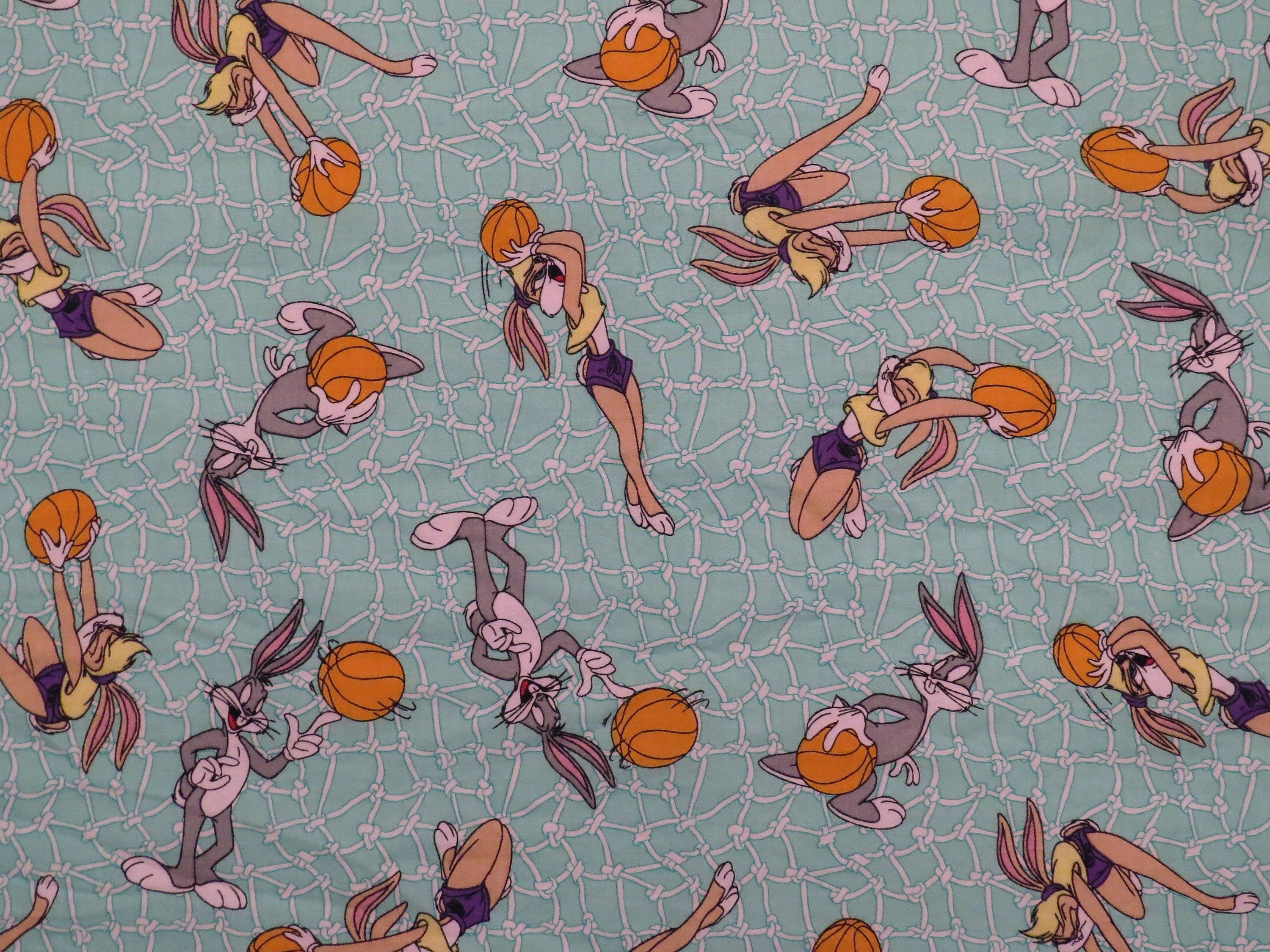 Reserved Vintage Space Jam Fabric