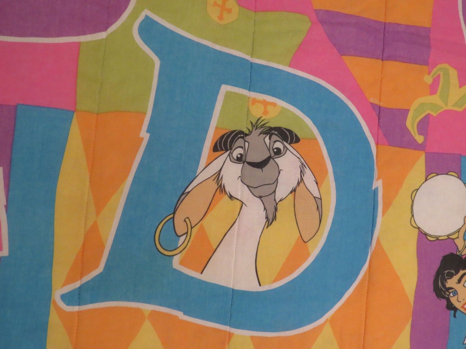 Hunchback Of Notre Dame Twin Comforter