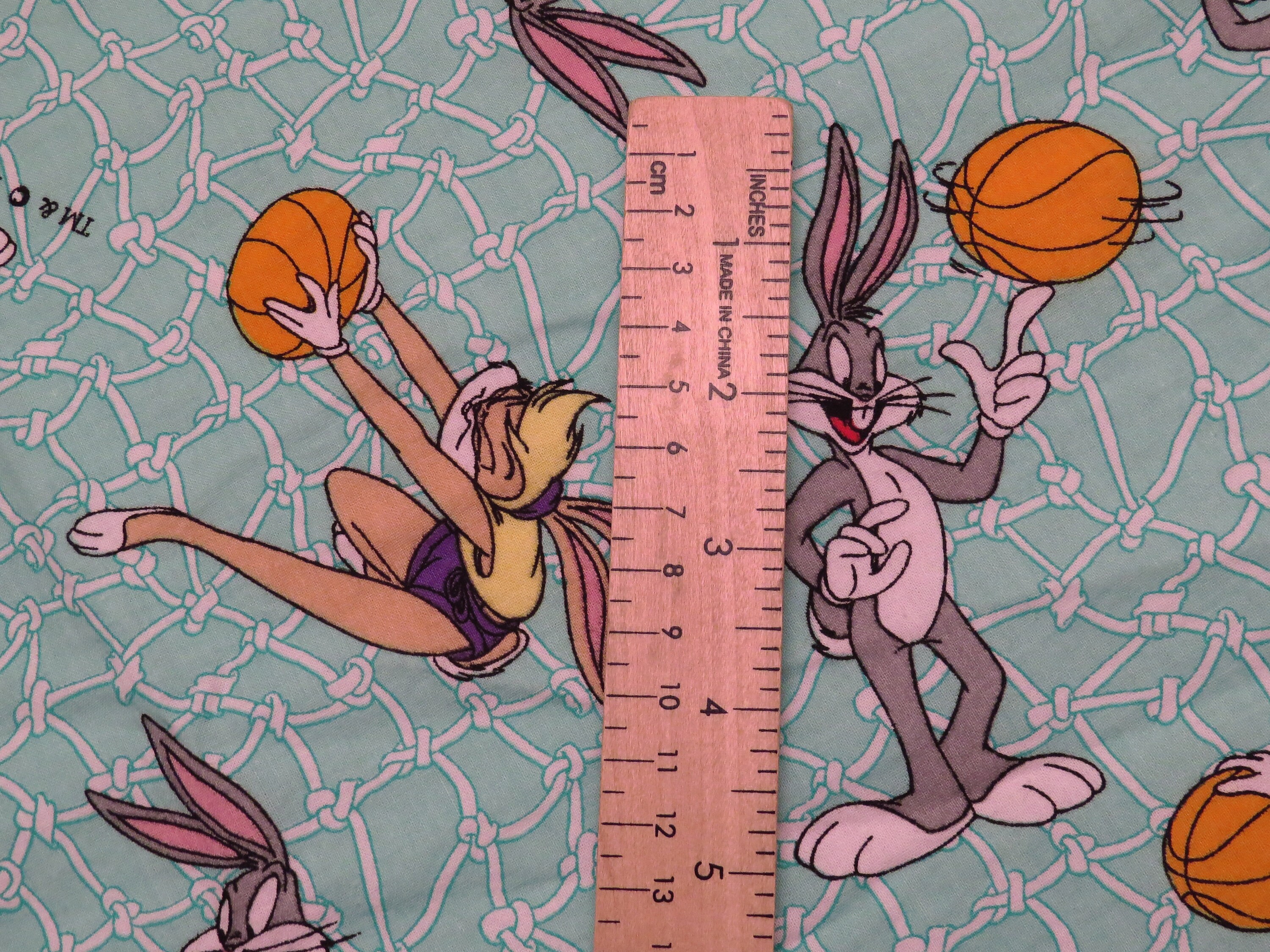 Reserved Vintage Space Jam Fabric