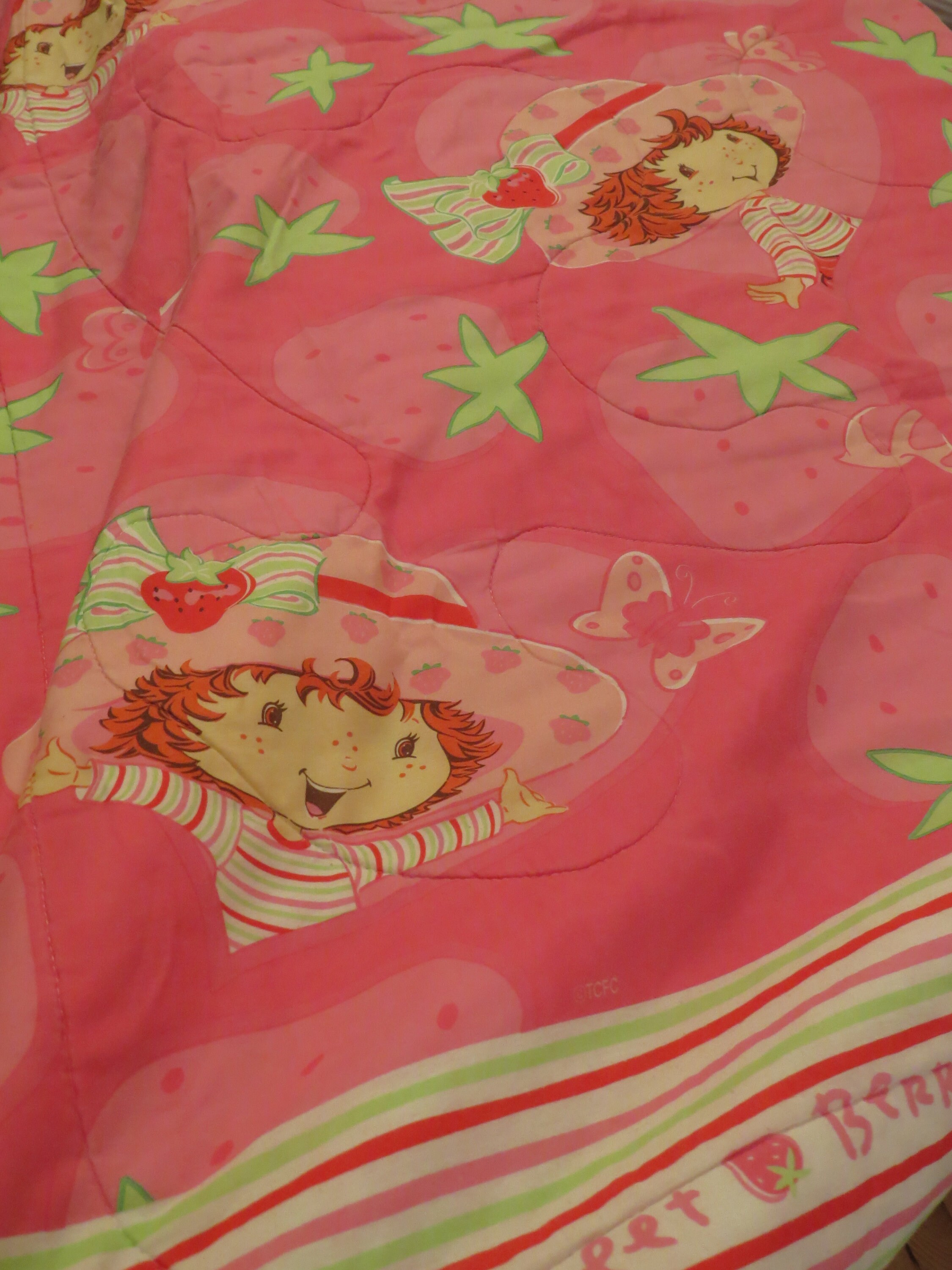 Strawberry Shortcake Twin Comforter