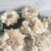 Set of 6 shabby chic flowers