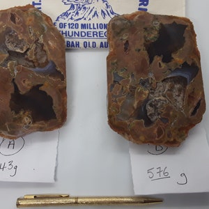 May include: Two polished, irregularly shaped rocks with brown, tan, and grey tones. One rock is labelled "A" and weighs 443 grams, the other is labelled "B" and weighs 576 grams. A gold pen is positioned below.