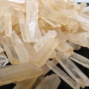 Golden Healer Quartz Crystal Shards 25g 9-13 pieces Golden Lemurian Seed Chunks Gift bag & Activation Meditation Guide. Solar Plexus Chakra