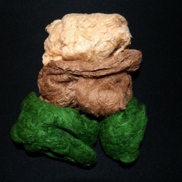 Tussah Seide "Erde" Mix-Pack von 30g gefärbte Seide Faser für Effekte in Weben Filzen Spinnen Faser Kunst kreative Textilien & Papierherstellung