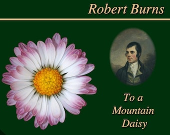 Robert Burns - To A Mountain Daisy - The Greatest Poems in the World Vol. 4
