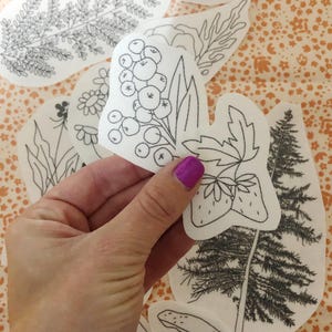 Forest Forage Embroidery Patterns - Stick and Stitch Forest Embroidery