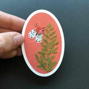 May include: A pink and white moth with black spots embroidered on a coral oval sticker with a green fern.