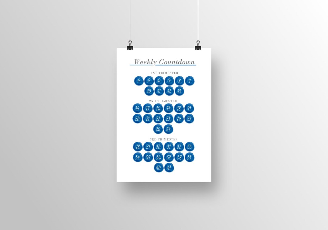 Printable Checklists, Pregnancy Checklists, Pregnancy Milestones, Daddy ...