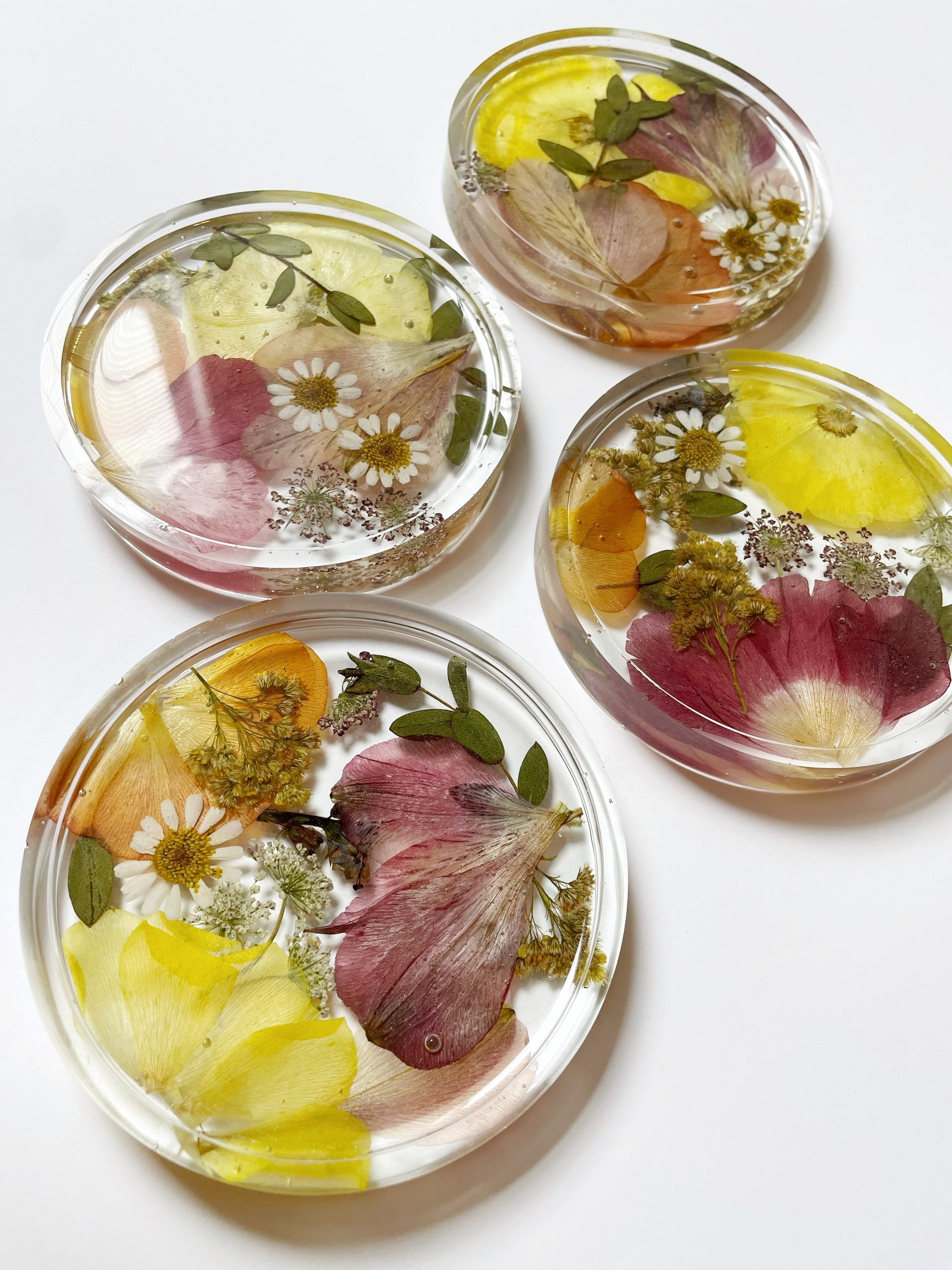 Dried Flower Coasters — Glasshouse Collection- Preserved Flower