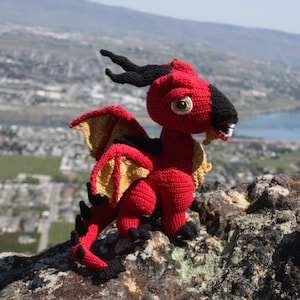 Ryker the Fire Dragon