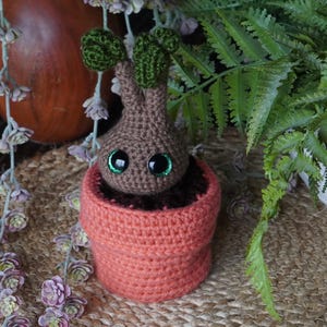 Può includere: Una pianta di Mandragora all'uncinetto in un vaso color terracotta. La pianta ha un corpo marrone, foglie verdi e grandi occhi espressivi. Il vaso è appoggiato su un tappetino intrecciato, con verde e fiori sullo sfondo.