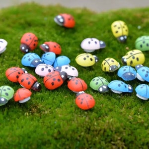 May include: A collection of colorful ladybug figurines, featuring red, yellow, blue, green, and pink ladybugs. The ladybugs are made of wood and have black spots. They are arranged on a bed of green moss.
