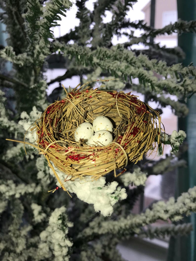 Cardinal in Nest with three eggs Christmas bird nest Etsy