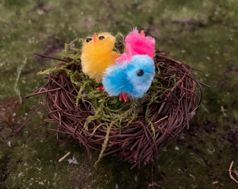 Prezioso piccolo nido pasquale pieno di tre chickadees colorati