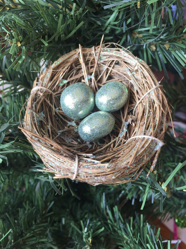 Sage Eggs in a Glitter Bird Nest 3 Ornament.if You Find Etsy