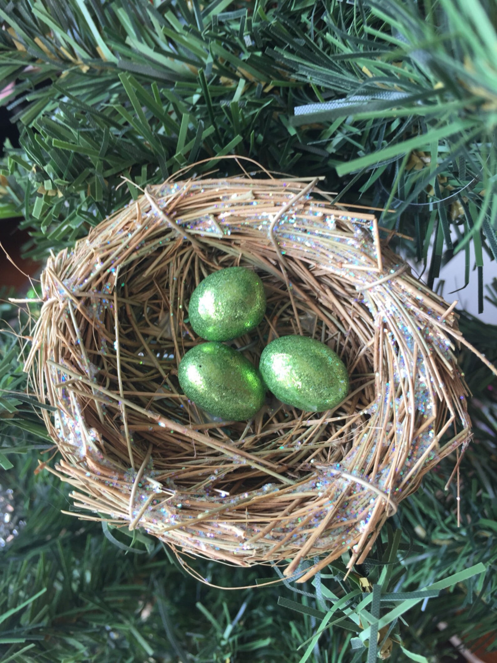 See The Stunning Green Eggs This Bird Lays! - z9rmtwm