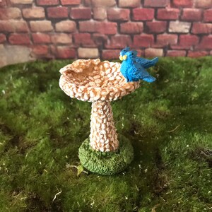 K&ouml;nnte beinhalten: Ein Miniatur-Vogelbad mit einer wei&szlig;en und braunen gesprenkelten Oberfl&auml;che. Zwei blaue V&ouml;gel sitzen auf dem Rand des Bades. Das Vogelbad steht auf einem Bett aus gr&uuml;nem Moos.