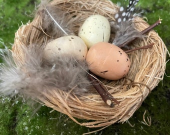 A cute bird nest with three eggs nestled inside. Feathers line the rim of nest. Egg colors and shapes vary