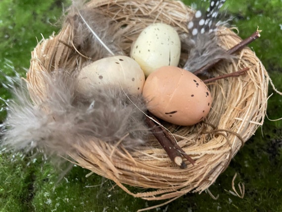 A Cute Bird Nest With Three Eggs Nestled Inside. Feathers Line the