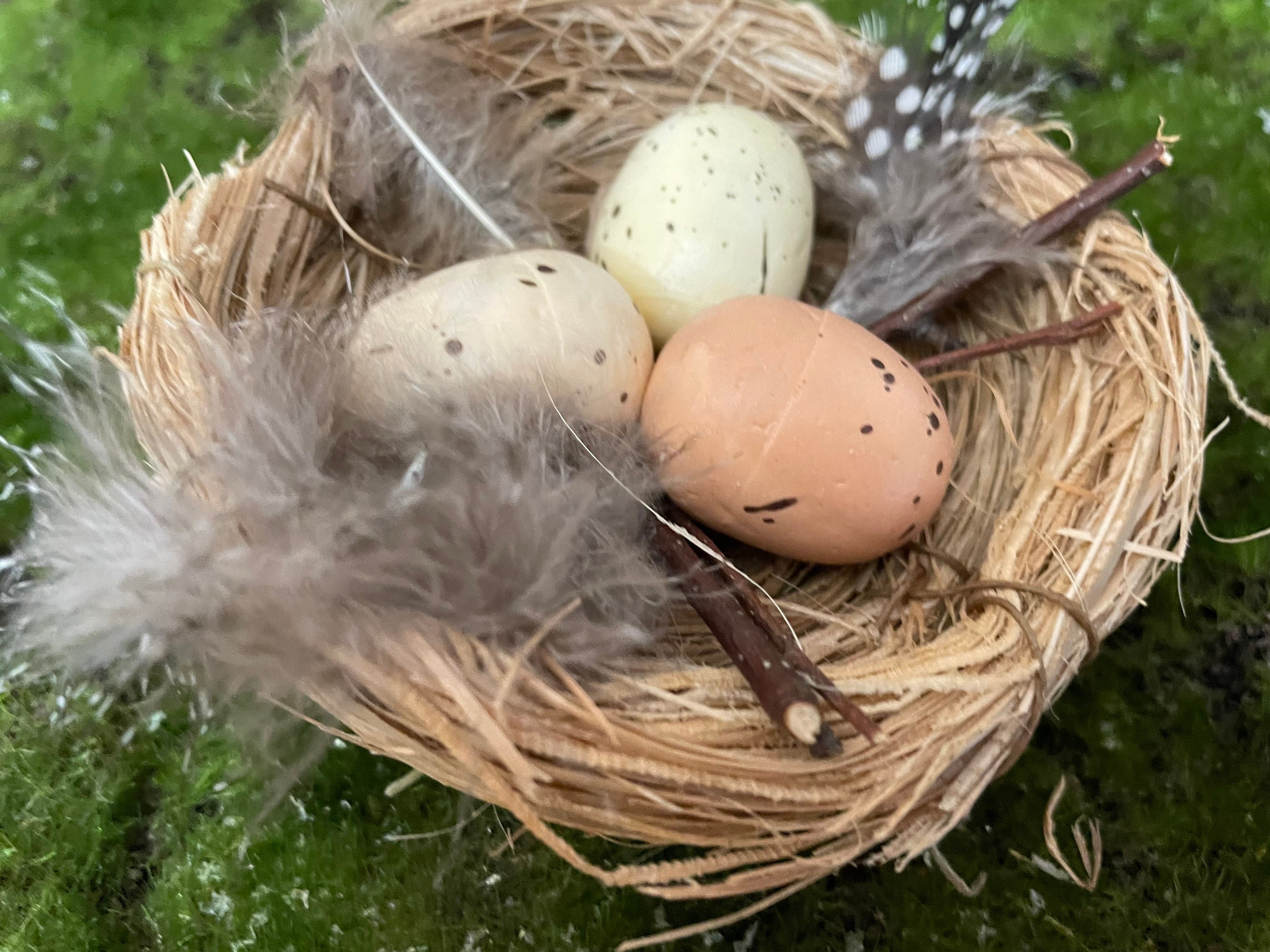 A Cute Bird Nest With Three Eggs Nestled Inside. Feathers Line the Rim of  Nest. Egg Colors and Shapes Vary 