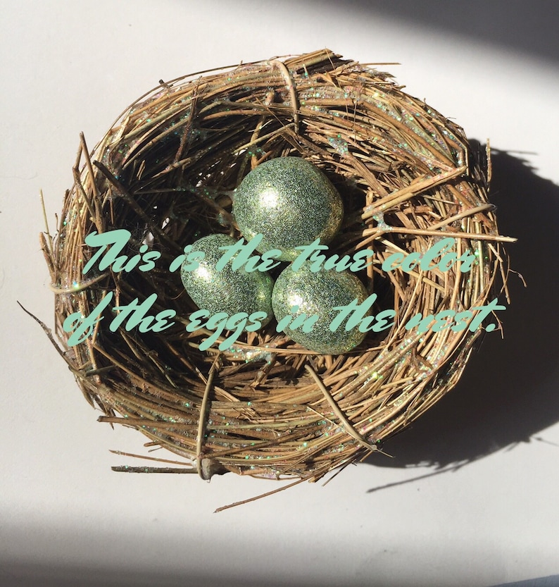 Sage Eggs in a Glitter Bird Nest 3 Ornament.if You Find Etsy