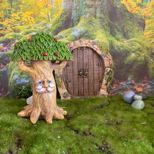 Peut inclure: Un arbre miniature de jardin féerique avec un visage souriant et des feuilles vertes. L'arbre est devant une porte en pierre avec une porte en bois.