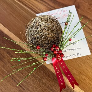 Leere Nesters verzieren ein Vogelnest in Ihrem Weihnachtsbaum finden, Sie haben Glück 3 ”