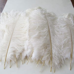 Lot 45 Vintage Large White Feathers Millinery Plume Hat Making Adornment Vintage Long Wedding Decor