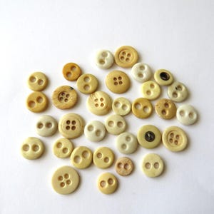 May include: A collection of various circular buttons in shades of cream, beige, and light yellow. The buttons feature different sizes and designs, including some with two holes and others with four holes, scattered across a plain white surface.