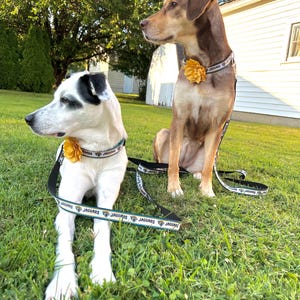 Jacksonville Jaguars Dog Collar & Leash Set