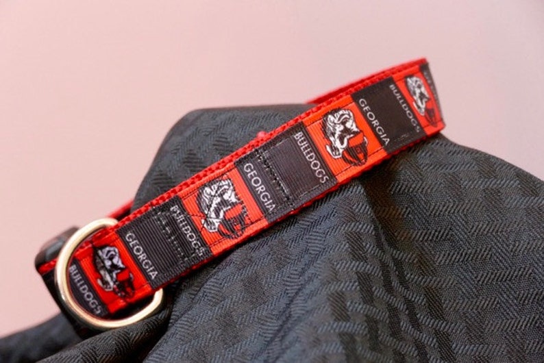 Team Georgia Bulldog dog collar image 1