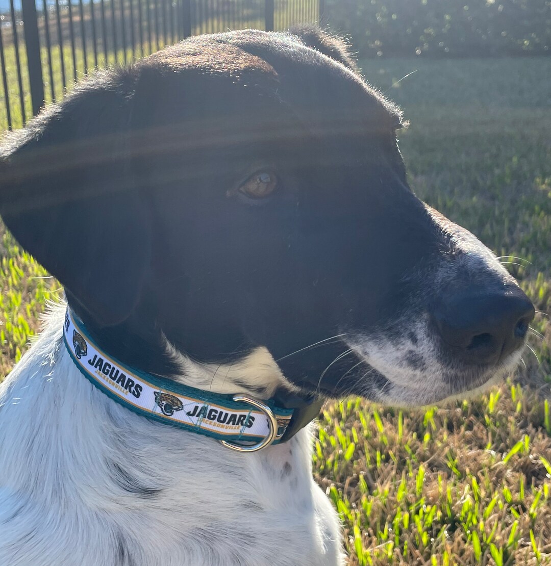 Jaguars Dog Collar Etsy
