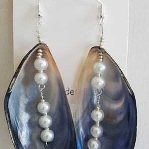 Seashell  mussel earrings.